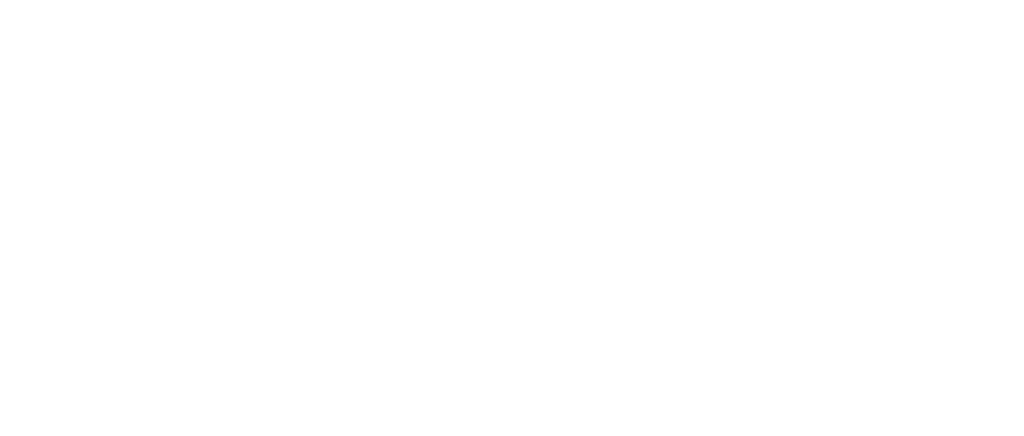LOGO_ELECTRO-NEWS_BLANC